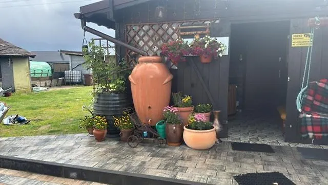 Eurotrader321 Odolanow